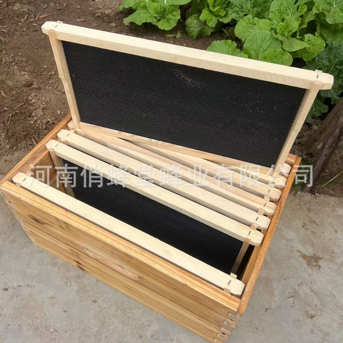Beehive Frame Wax - Пчеловодческие инструменты: высококачественная пластиковая основа для