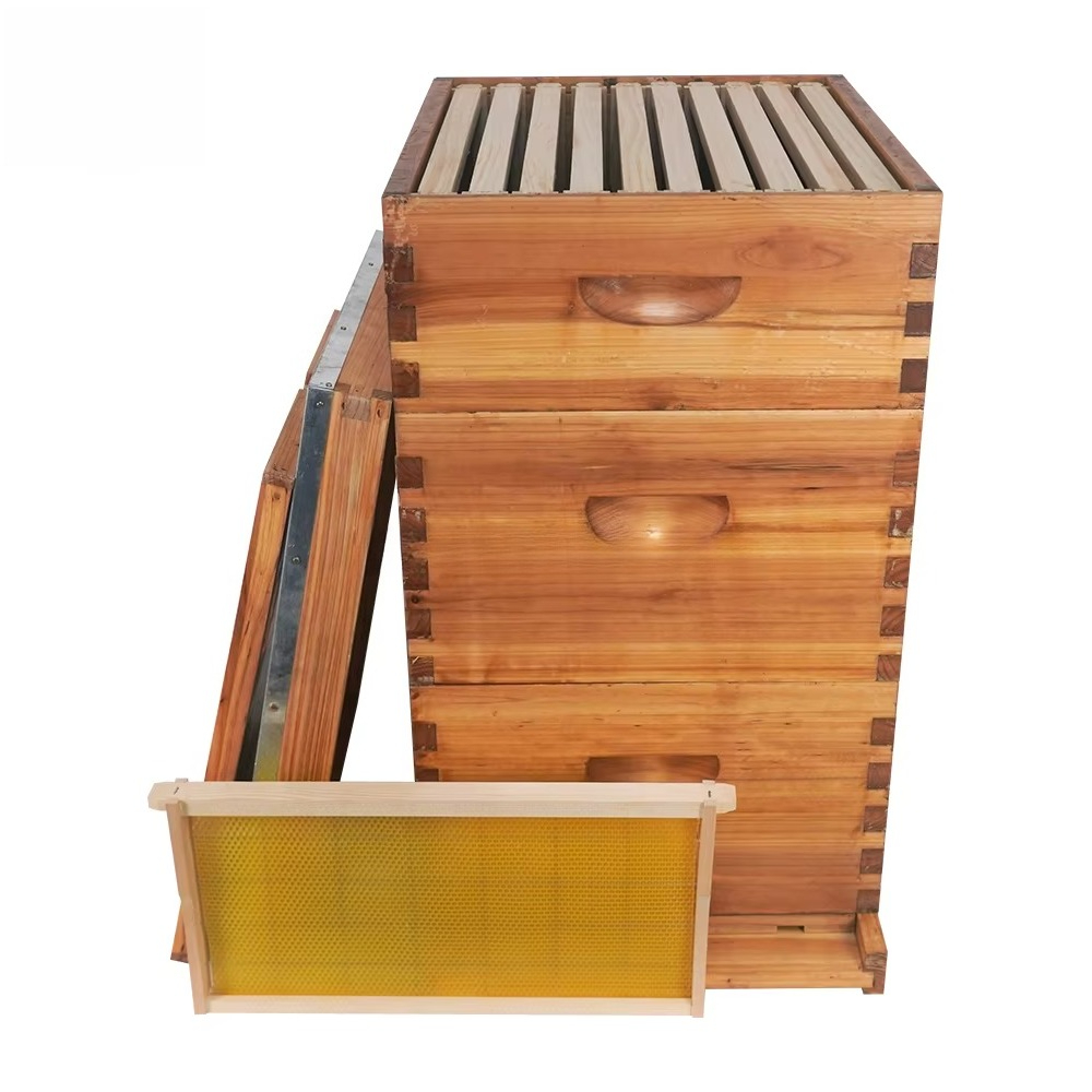 Пчелиный улей Лангстрота, 3-сл – обзор и цена Beehive Frame Wax