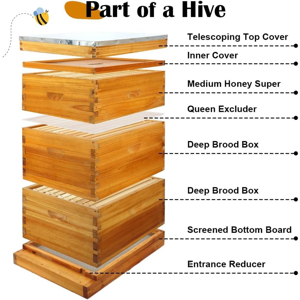 Набор для пчеловодства: 10-рам – обзор и цена Beehive Frame Wax