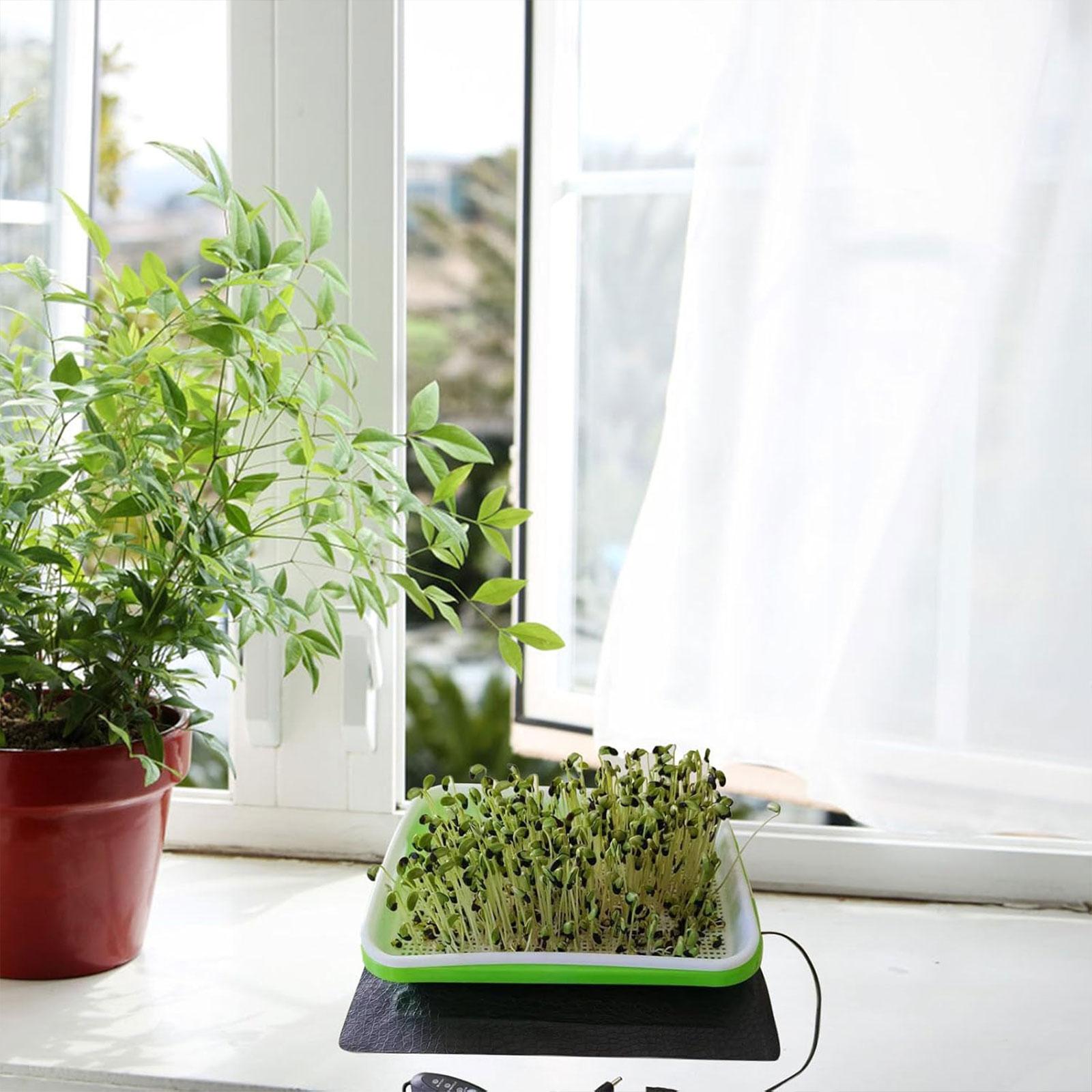 Гидропонный греющий коврик для – обзор и цена Seedling Heat Mat